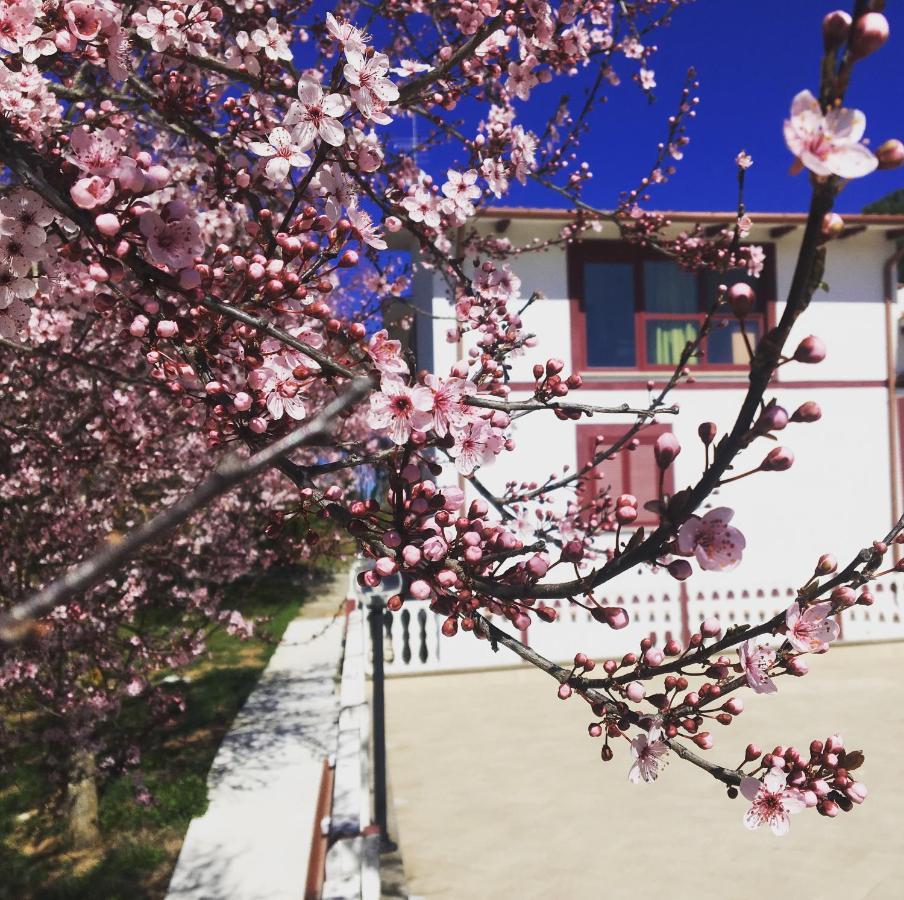 Il Profumo Della Natura B&B Oriolo Romano Eksteriør billede